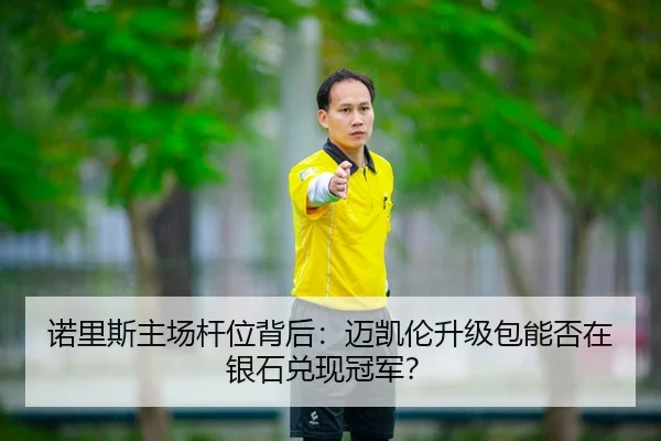 诺里斯主场杆位背后：迈凯伦升级包能否在银石兑现冠军？